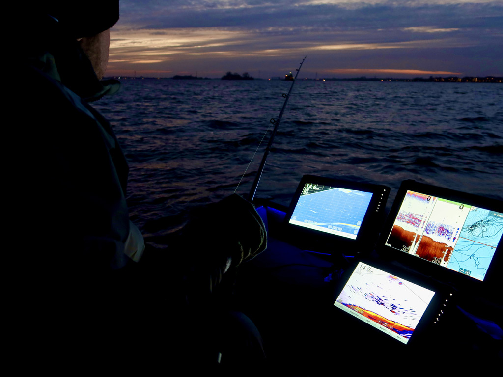 's avonds en 's nachts pelagisch vissen is erg effectief