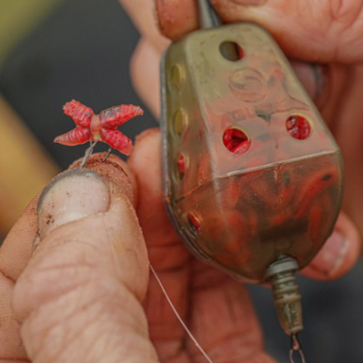 Guru Maggot Feeder Medium