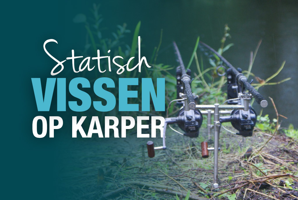 Statisch vissen op karper