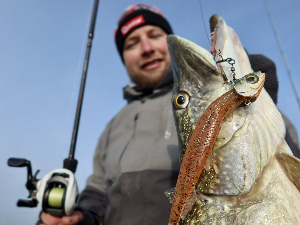 Ook grote snoeken zijn te pelagisch goed te vangen