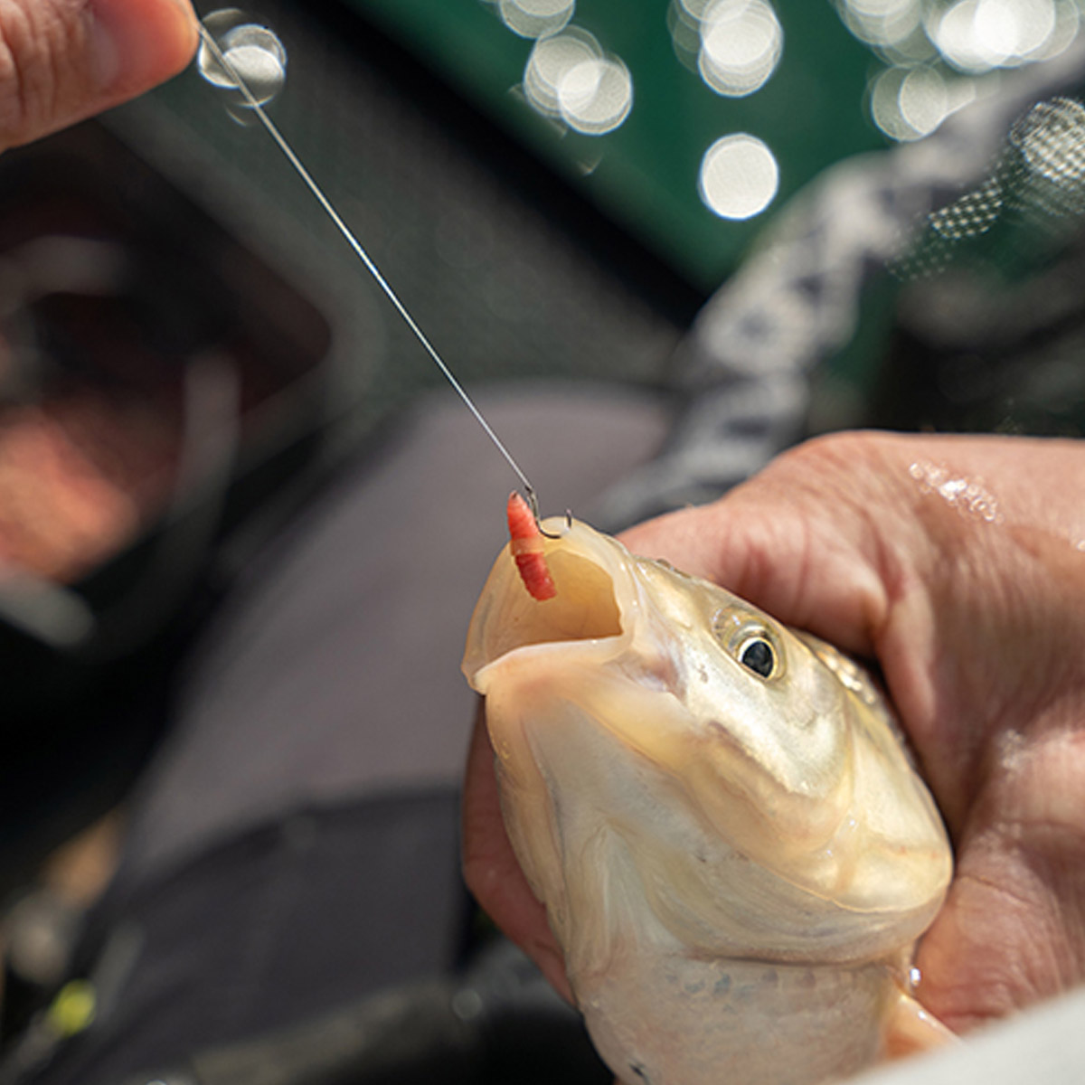 Matrix Super Soft Bait Bands