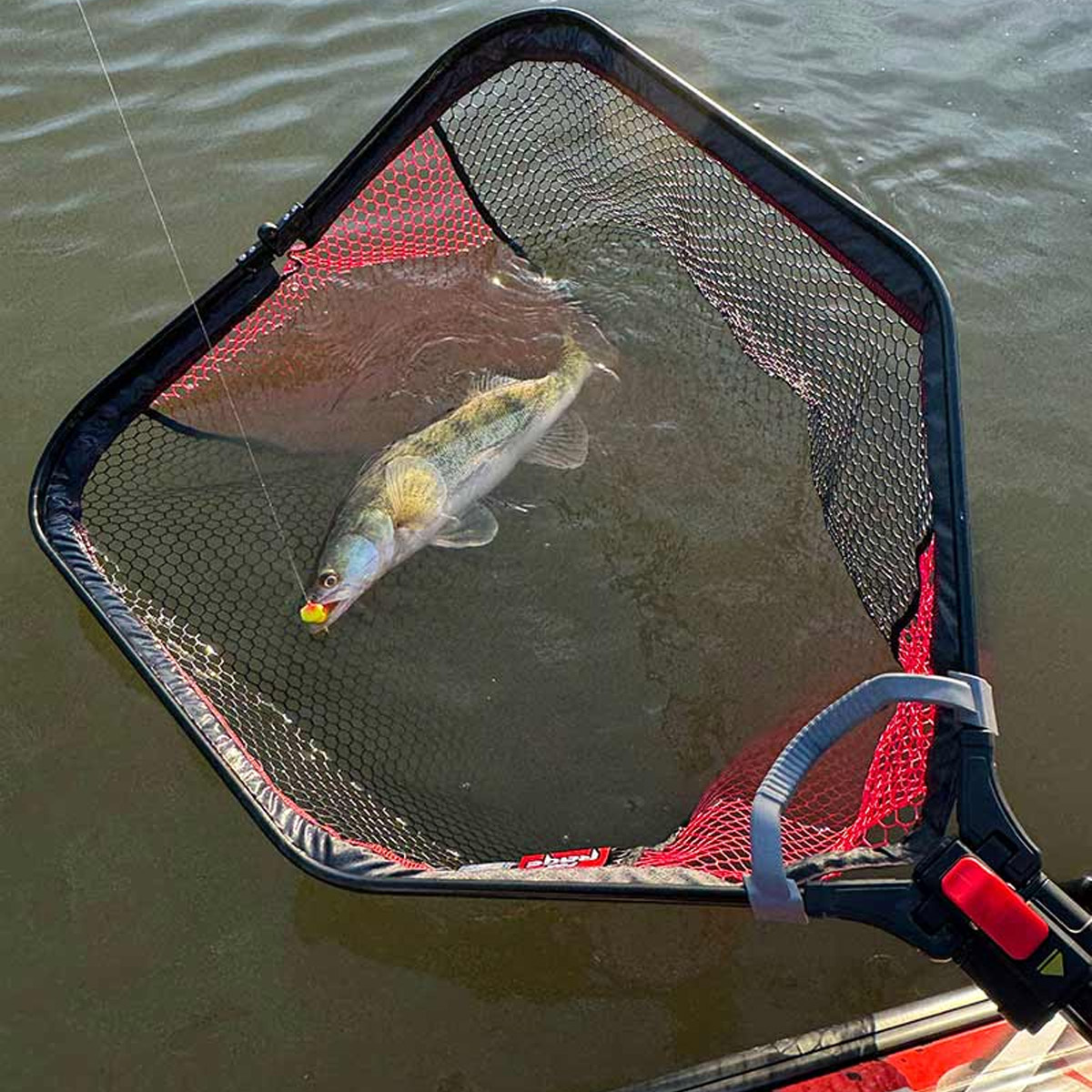 Fox Rage Speedflow Folding Landing Net Medium