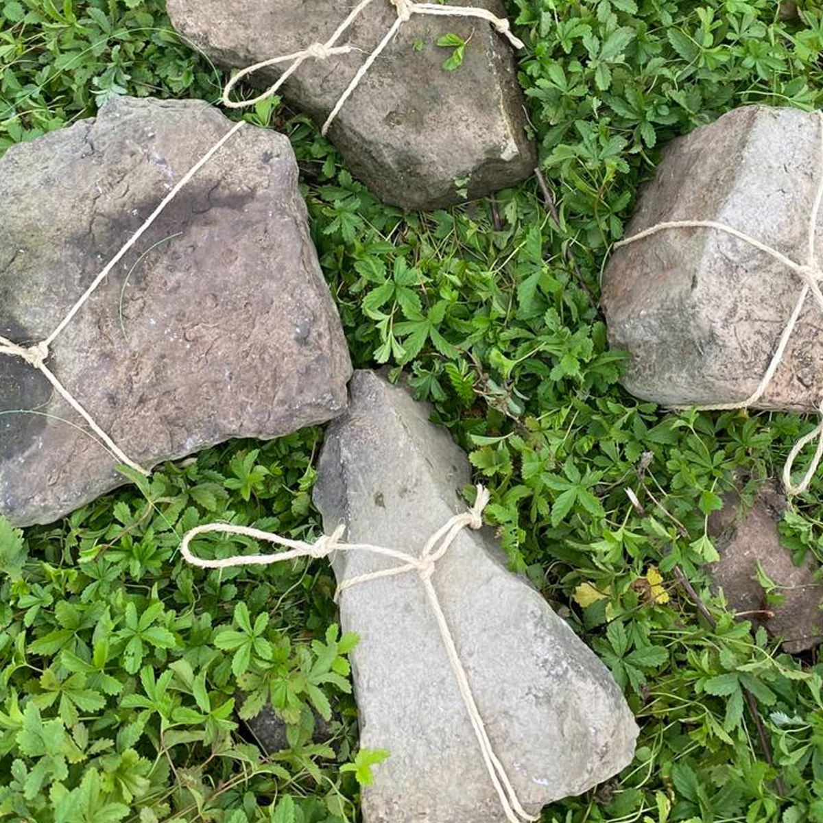 Zeck Stone Line 100 Meter