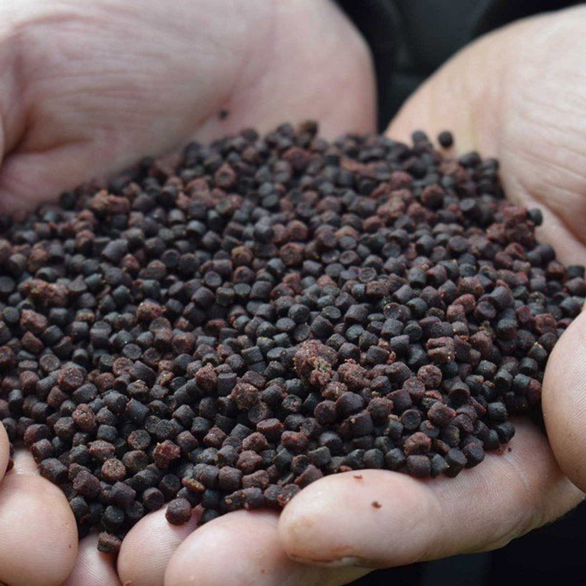 Sonubaits Cheesy Garlic Halibut Pellets