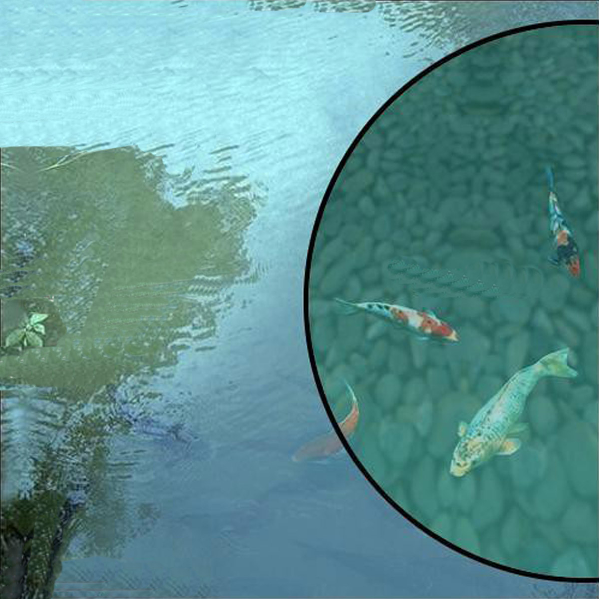 Eye Level Sprinter 2 Amber