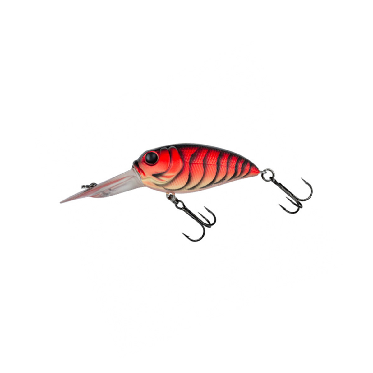 Molix Sculpo DR Rattlin