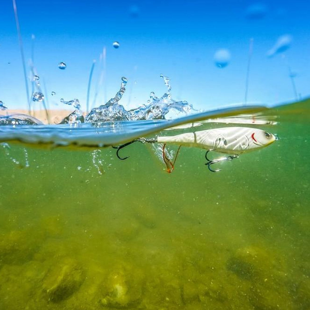 Berkley Choppo 7,5 CM