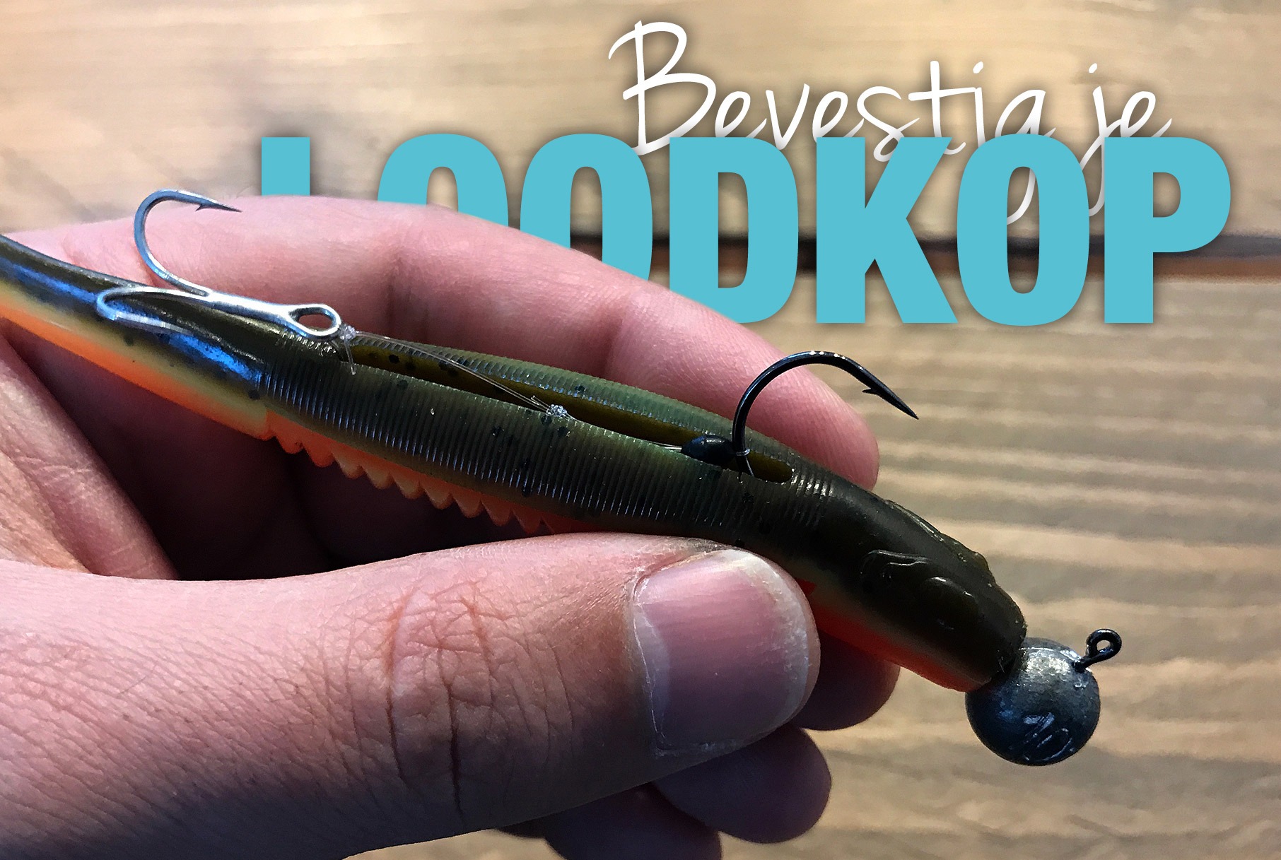 Hoe bevestig je een loodkop in een shad