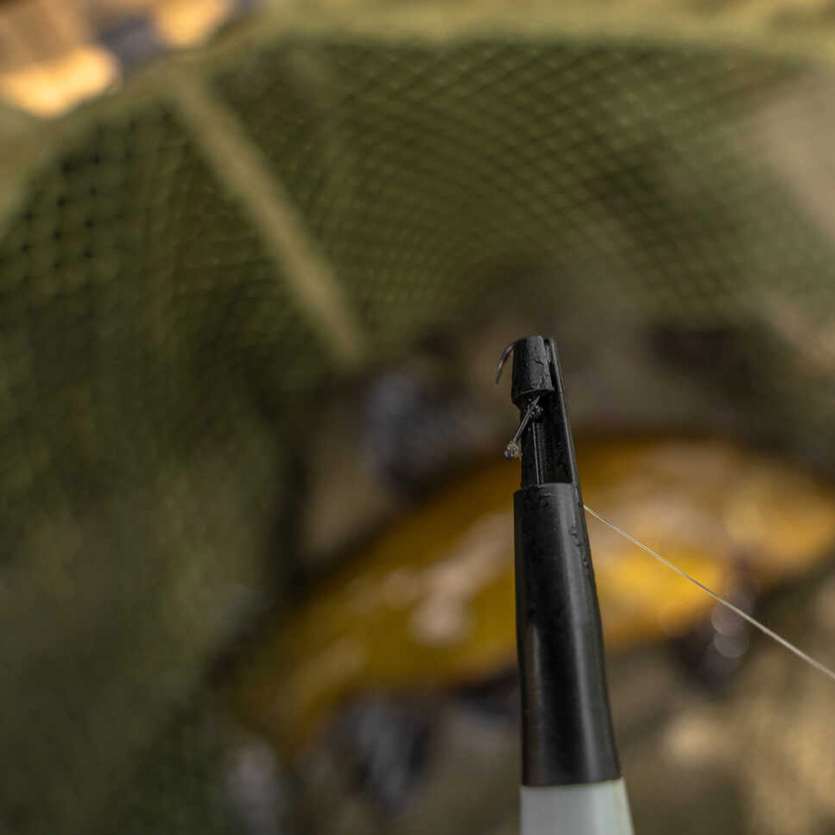 Korum Disgorger Specimen