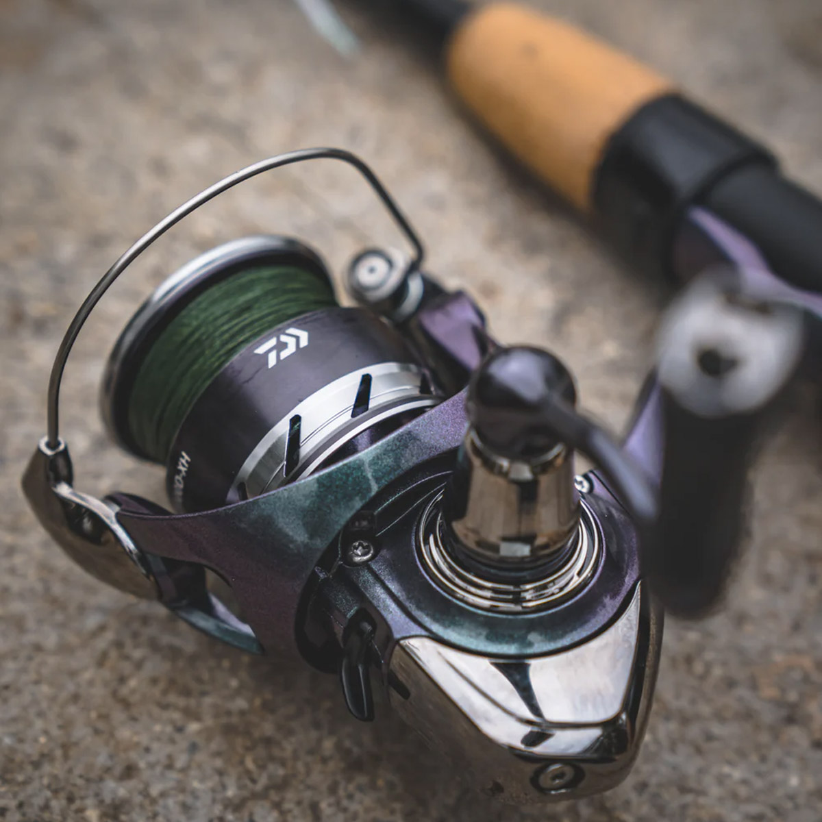 Daiwa 24 Regal LT 2000D-XH