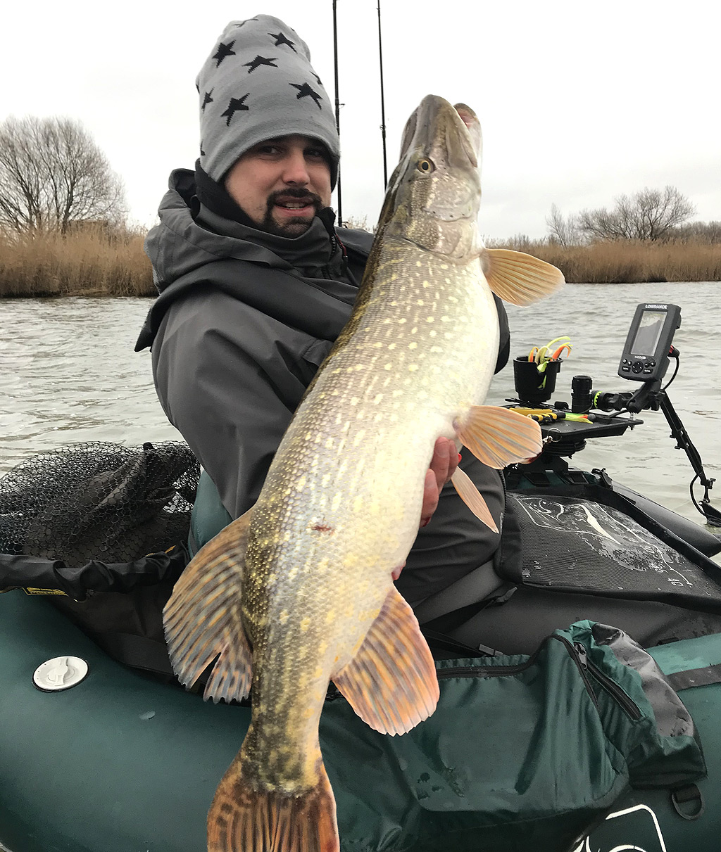Een pelagisch gevangen metersnoek vanuit de bellyboat