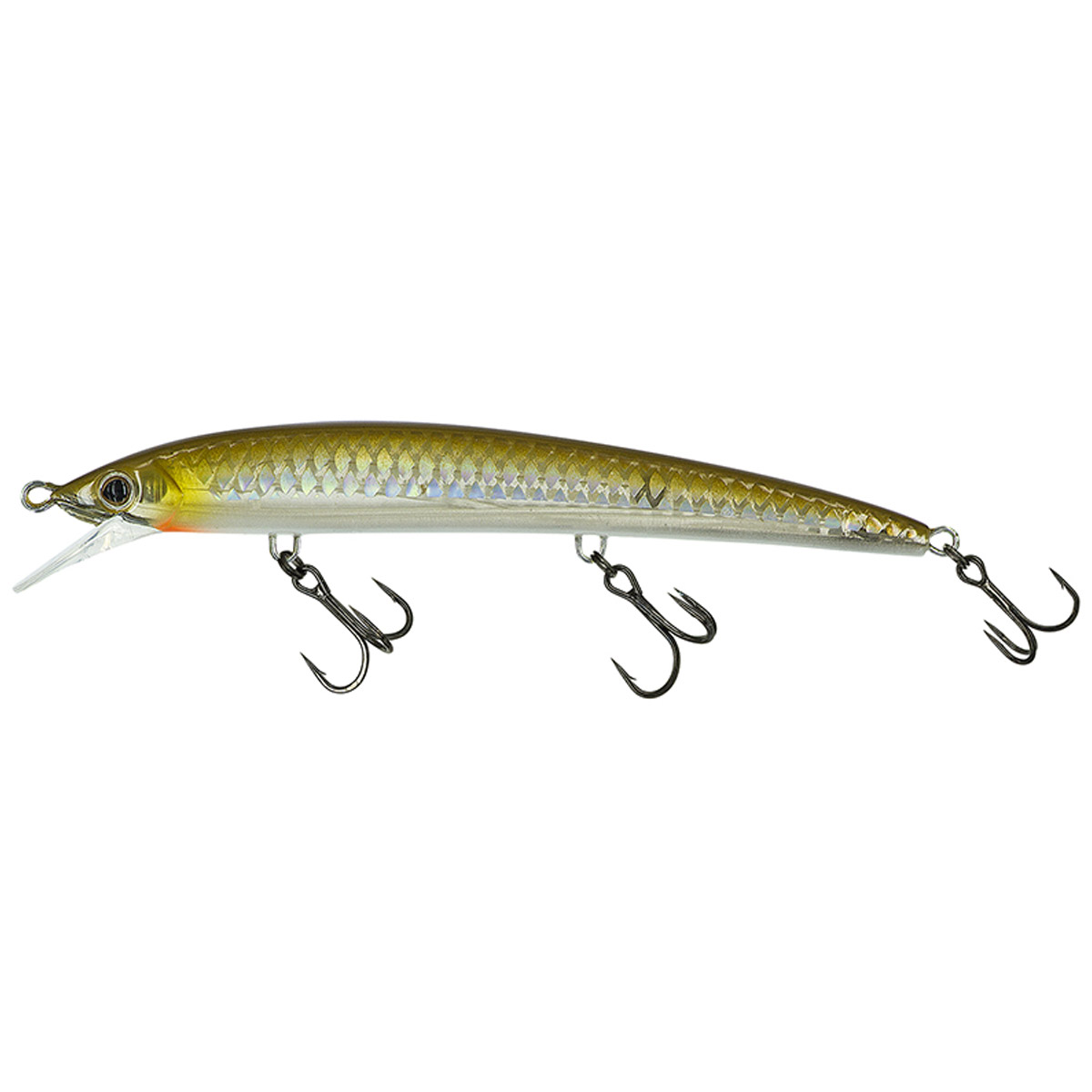 Molix Finder Jerk 110 Suspending