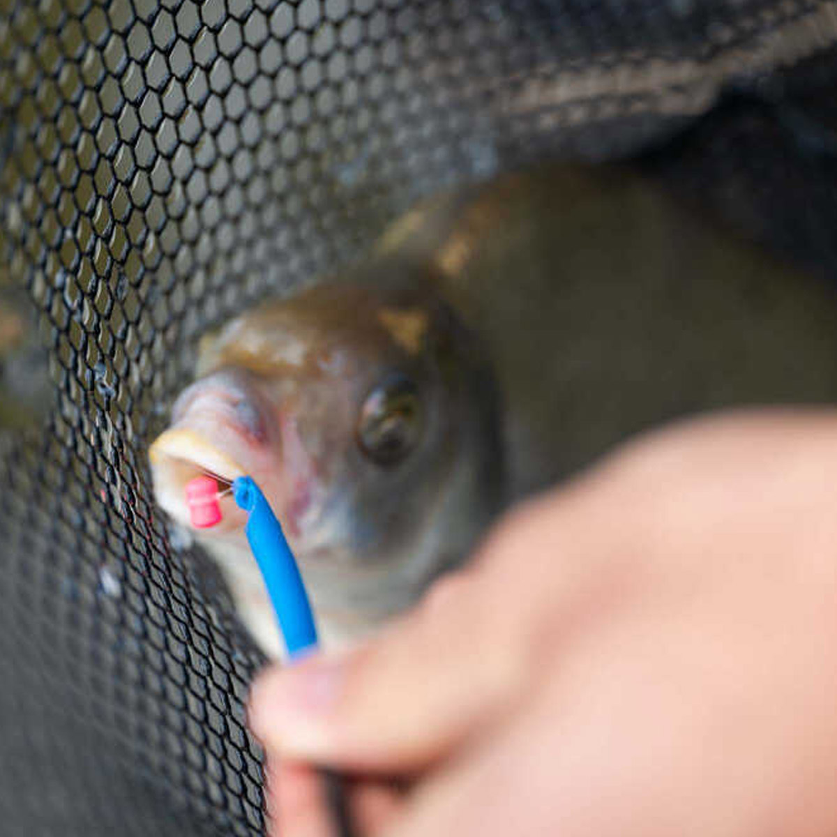 Preston Innovations Floater Disgorger Baiting Needle