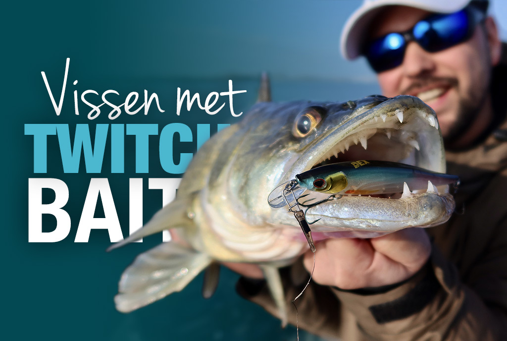 Vissen met Twitchbaits