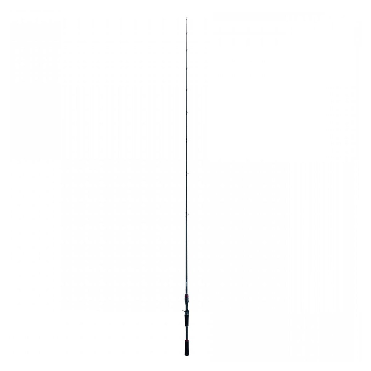 Shimano Zodias 1610M Casting