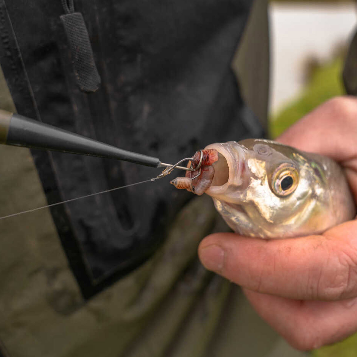 Korum Disgorger Specimen