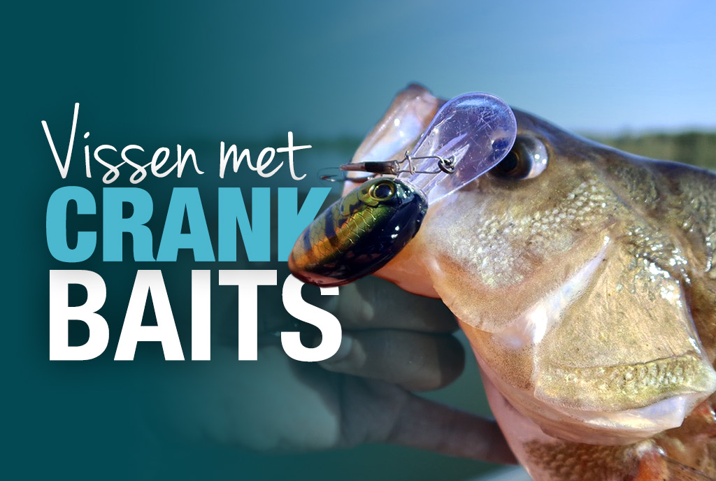 Vissen met crankbaits