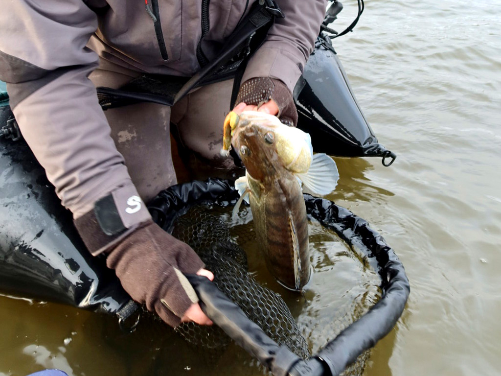 Een drijvend net voor het vissen vanuit een bellyboat