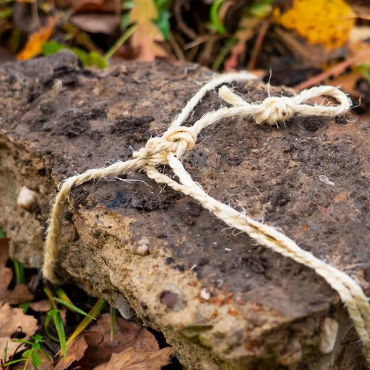 Zeck Stone Line 100 Meter